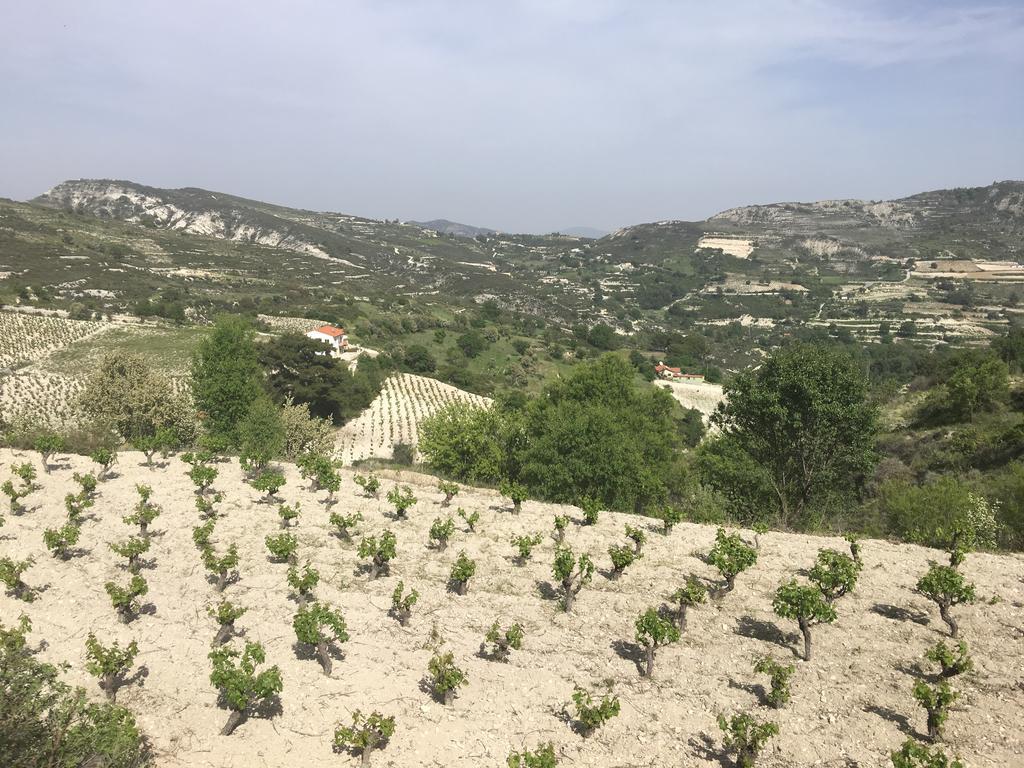 Koilani Village House מראה חיצוני תמונה