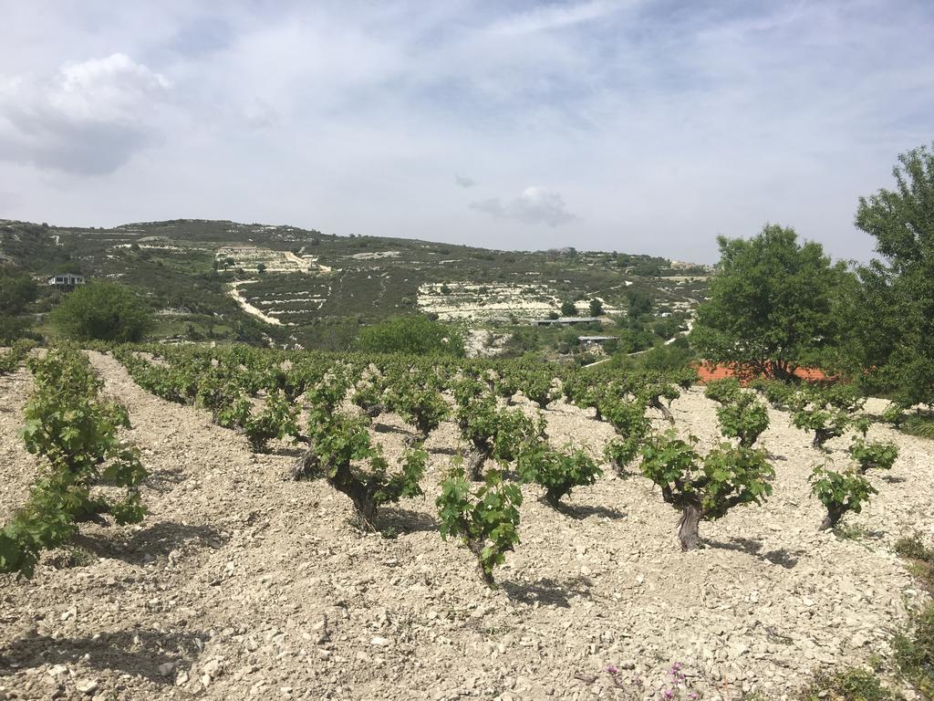 Koilani Village House מראה חיצוני תמונה